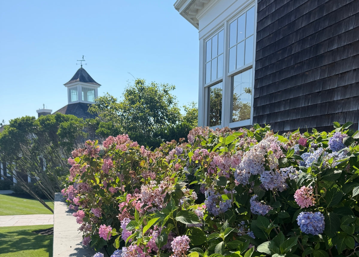 Atlantic Golf Club: A Hamptons Partner in Modern Golf Hospitality