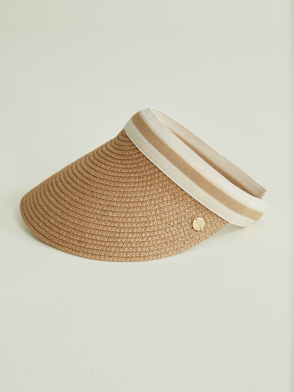 A. Visor